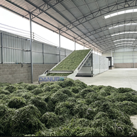 Machine de séchage automatique à bande transporteuse en maille, déshydrateur continu pour herbes agricoles et matières premières