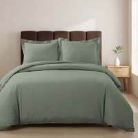 Parure de lit de luxe 220x240cm pour lit double, couleur Seafoam, 100% bambou, fermeture à boutons dissimulés, toutes saisons, pour mariage, 300 fils/cm²