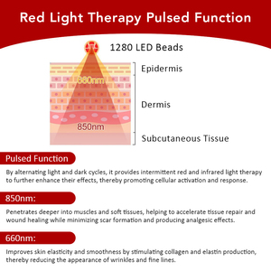 5 brillo y 3 modos cerca de la almohadilla de terapia de luz infrarroja Alfombrilla de luz roja Cuerpo completo - Product Image 4