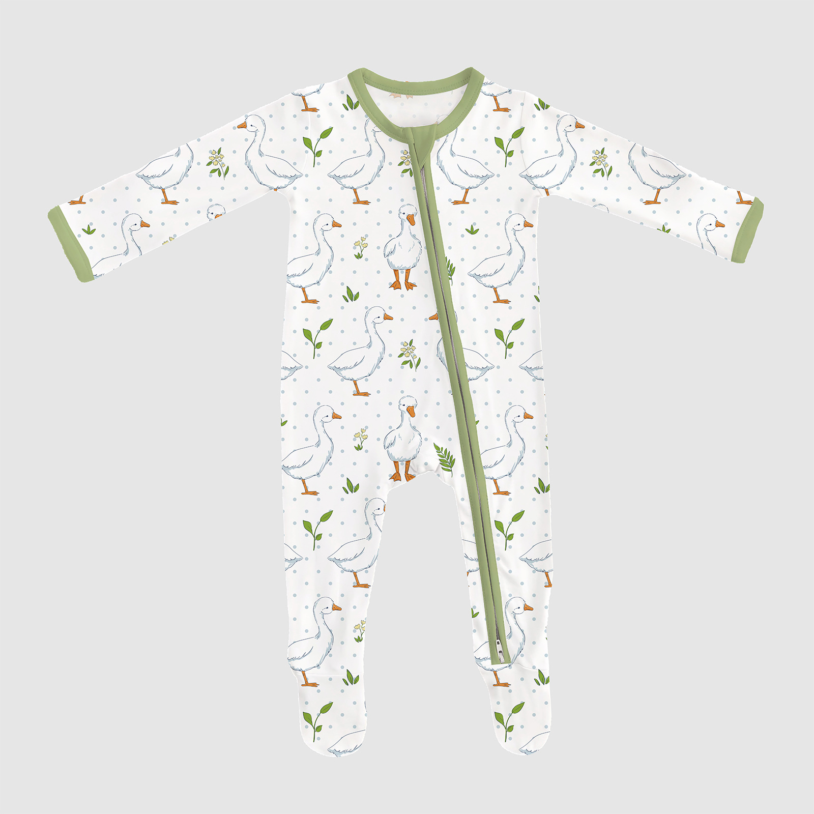 Anatre giovani vicino allo stagno