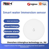 Détecteur de fuite intelligent à immersion d'eau Graffiti avec télécommande, alarme Zigbee pour maison connectée, haute précision, usine OEM de Chine continentale
