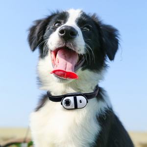 Mini Sport HD Haustierkamera Kabellose Katzen-Halsbandkamera Outdoor Hunde-Halsbandkamera für Videoaufnahmen mit Rückenclip und vielfältigem Zubehör - Product Image 3