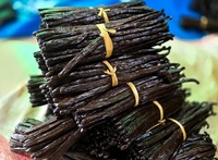 Vanille Récoltée Fournisseur Français Vanilline de Haute Qualité Grade-A 100% Naturelle Fèves de Vanille Séchées Bourbon Planifolia Région de SAVA Madagascar