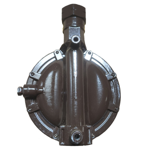 Rego lv4403b66 DN20 đường ống khí nén điều chỉnh van khí nén khí đốt công nghiệp áp suất thấp điều chỉnh 21 lưu lượng kg/giờ - Product Image 5