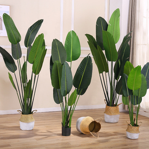 Đồ Trang Trí Trong Nhà Ngoài Trời Mô Phỏng Cao Cây Chuối Nhiệt Đới Giả Lớn 140 Cm 180Cm 240Cm Cây Nhựa Nhân Tạo Chim Thiên Đường - Product Image 5