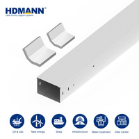 Échelle de câbles en acier au carbone électrogalvanisé haute résistance et longue durée de vie certifiée IEC Hdmann pour le routage de câbles dans les immeubles de bureaux