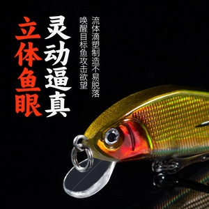 Leurre Ikeba Minnow Cr12252 2, leurre de fond à coulée lente pour la pêche aux poissons d'eau douce - Product Image 1