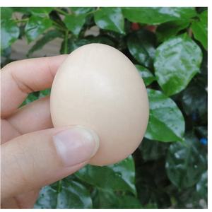 2 trucos de broma de <span class=keywords><strong>huevo</strong></span> frito <span class=keywords><strong>falso</strong></span>, huevos de goma, broma falsa, comida de imitación - Product Image 4