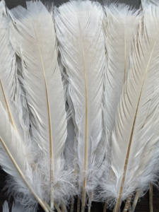 <span class=keywords><strong>Piume</strong></span> <span class=keywords><strong>di</strong></span> Tacchino Sbiancate 12-14 Pollici per Cappelli da Carnevale Copricapo da Samba Accessorio per Spettacoli Teatrali Costume con <span class=keywords><strong>Piume</strong></span> YOLAN - Product Image 5