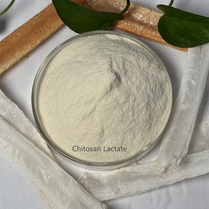 고품질 농약 중간체 90%-99% 순도 키토산 락테이트 분말 (마린 제네시스 바이오테크) - Product Image 1