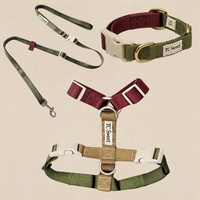 Ensemble de laisse et harnais pour chien en tissu tissé, réglable, anti-traction, à libération rapide, élégant et personnalisé, pour la marche en extérieur