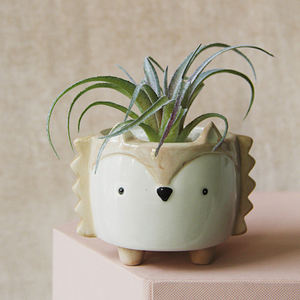 Entrega rápida planta lindo ollas <span class=keywords><strong>de</strong></span> cerámica erizo cachorro pequeño suculento Animal pote <span class=keywords><strong>de</strong></span> flor - Product Image 4