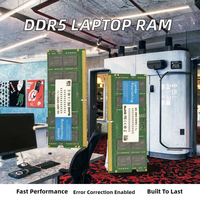 Lanbo Flourishing DDR5 ECC RAM for Laptop 16GB/8GB 4800MHz Private Mold in Stock