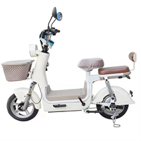 Vélo électrique à faible vitesse, 14 pouces, vente en gros d'usine OEM ODM, vélo électrique personnel, vélo électrique chinois