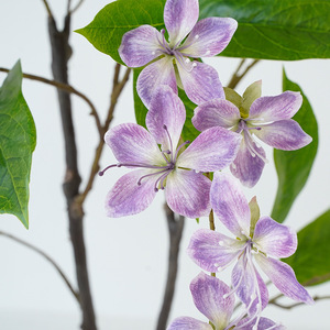 Simulación Transfronteriza de Plantas Verdes, Árbol de <span class=keywords><strong>Jazmín</strong></span> <span class=keywords><strong>en</strong></span> <span class=keywords><strong>Maceta</strong></span>, Adornos de Interior, Flores Decorativas, Planta de Simulación para Jardinería - Product Image 2