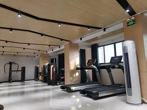 Máquina de Remo Larga para Ejercicios de Espalda y Musculación, Fabricada en China - Product Image 2