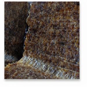 วัตถุดิบยาง SVR20คุณภาพสูงส่งออกจากเวียดนาม - Product Image 1