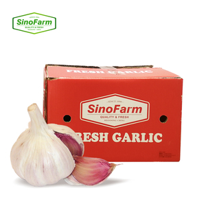 Ajo Fresco Entero Cultivado en Granjas de Shandong - Tipo Común - Product Image 1