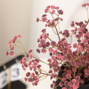 Handmade Mùa Thu Màu Dài Chi Nhánh Gypsophila Mô Phỏng Đám Cưới Nhà Mô Hình Phòng Trang Trí Nhân Tạo Hoa Bán Buôn Phù Hợp Với - Product Image 4