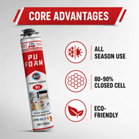 Mousse PU en vrac grande quantité, isolation polyuréthane 850ml 300% triple expansion, durcissement à l'humidité pour la construction et l'étanchéité