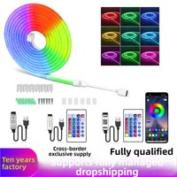 Bande LED néon RGB flexible en silicone, mini, avec contrôle 24 touches pour bande lumineuse à intensité variable contrôlée par application