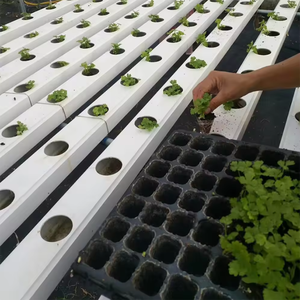 Sistema de plantación hidropónica vertical de tamaño pequeño que ahorra espacio Plantine de tubo cuadrado - Product Image 5