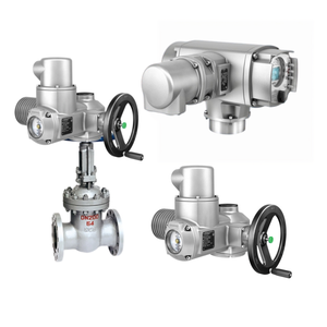 มอเตอร์แอคชูเอเตอร์แบบหมุนหลายรอบ AUMA SAR 10.2/AC 01.2-F10 คุณภาพสูงรุ่นใหม่ แรงบิด 60-120 นิวตันเมตร - Product Image 3