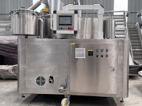 Freidora Automática de Acero Inoxidable para Snacks con Control PLC y Motor para Freír Pollo Crujiente