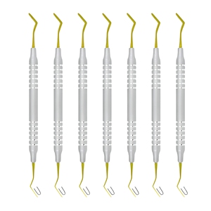 <b>Dental</b> Composite Restorative Instruments Set Stainless Steel Ergonomic Handle Placement <b>Tools</b> Wholesale Supplier - Product Image 1