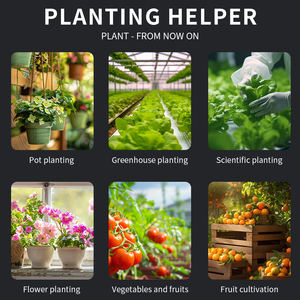 New Arrivals 6 em 1 Portátil Detector de Solo PH Umidade Temp Luz Tester Medidor de Solo Teste para Jardim Fazenda Indoor & Outdoor - Product Image 6