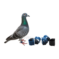 Oiseau poulet Pigeon RFID coloré pied étiquettes anneau de jambe pour l'élevage de volaille étanche antichoc coloré personnalisé