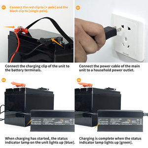 Chargeur de batterie <span class=keywords><strong>Lvyuan</strong></span>, chargeur pour batteries au plomb-acide et LiFePO4, pour moto, scooter électrique et vélo électrique - Product Image 5