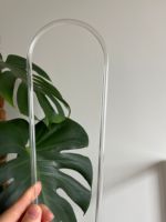 Treillis pour plantes en acrylique transparent de 12 pouces de hauteur pour les plantes grimpantes Hoya et les plantes d'intérieur