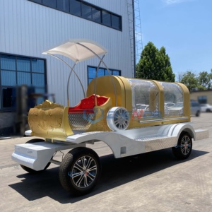 Classic Style Hearse Maker Premium Electric Custom Funeral Trailer for Sale - Product Image 3