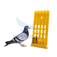Support de présentation pour bagues de pigeon en plastique PP jaune, 23*8.8cm