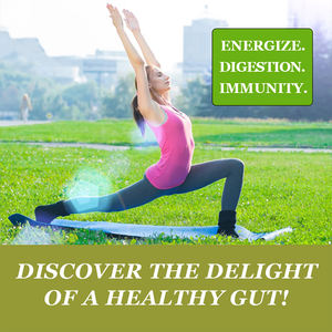 Compléments alimentaires de haute qualité OEM/ODM à base d'extraits de fruits et légumes, stimulant l'énergie et favorisant la digestion, en poudre - Product Image 3