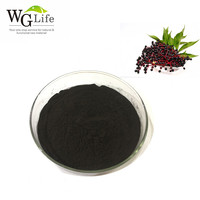 Hoge Kwaliteit Natuurlijke Zwarte Vlierbes Fruit Poeder Extract Fabriek Geleverd Voor Voedsel Pigment Trommel Verpakking