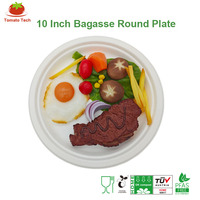 Assiette jetable en bagasse sans PFAS, 260 mm (10 pouces), compostable, robuste, pour fêtes, steaks, barbecues et traiteurs