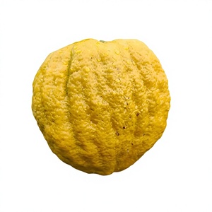 Extrait de <span class=keywords><strong>citron</strong></span> concentré soluble biologique naturel de qualité supérieure Xiangyuan Power, qualité alimentaire - Product Image 5