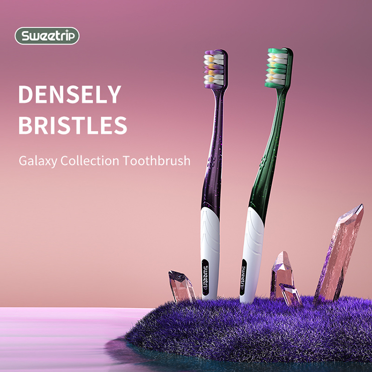 Soft Bristles Ten Thousand Bristles Pregnant