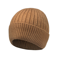 Bonnet côtelé en tricot avec revers, vierge, chaud pour l'hiver, unisexe, pour hommes et femmes, personnalisable avec logo brodé, marque privée, vente en gros