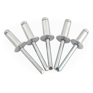 Mở Loại 304 Thép Không Gỉ Mù Đinh Tán 2.4/3.2/4/5Mm Vòng Dome Đầu Vít Rắn Đầu Phẳng Với Mạ Kỹ Thuật - Product Image 1