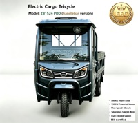ZB1524 PRO Yüksek Performanslı Elektrikli Kargo Üç Tekerlekli Bisikleti - 1500W Güç ve 500KG Taşıma Kapasitesi Uzmanı (EEC Sertifikalı)