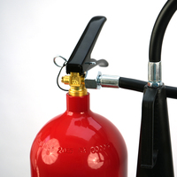 Meilleur prix de haute qualité en acier de sécurité vide 7kg/ 10lb CO2 cylindre d'extincteur en Chine