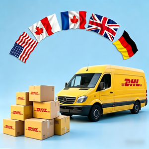 Services professionnels de transport porte-à-porte DHL DDP, logistique internationale de dropshipping, agent de transit et d'expédition - Product Image 1