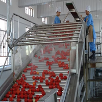 Automatische kleine verwerkingslijn voor tomaten- en fruitpasta, hoge kwaliteit, continu, 304/316L roestvrij staal, 1-50T/H