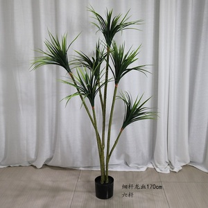 Plantas artificiales de Dracaena <span class=keywords><strong>Draco</strong></span>, <span class=keywords><strong>árbol</strong></span>es, Cycas Yucca, venta al por mayor, fábrica, AF7005 - Product Image 3