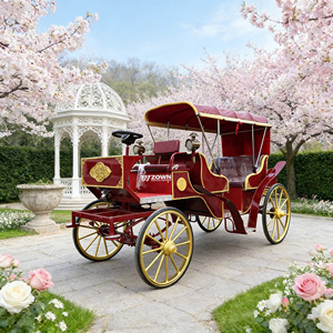 Carroza de Caballos Decorativa de Latón Vintage, Vehículo Elegante para Recorridos Turísticos en Ciudades Históricas y Servicios de Turismo Cultural - Product Image 1