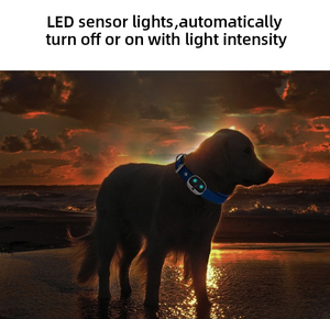 Waterpoof IP67 4 gam chống trộm cổ áo Pet GPS theo dõi thiết bị thông minh <span class=keywords><strong>Cat</strong></span> Dog hàng rào không dây <span class=keywords><strong>Tracker</strong></span> cho mỹ Úc - Product Image 6