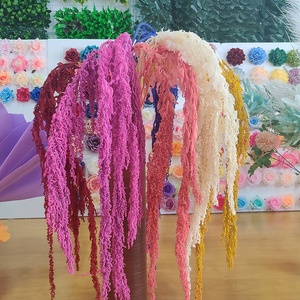 Altri Fiori e Piante Decorative di Alta Qualità, Fiori Secchi Colorati, Piante Pendenti Naturali, Fiori Veri Preservati di Amaranto - Product Image 3